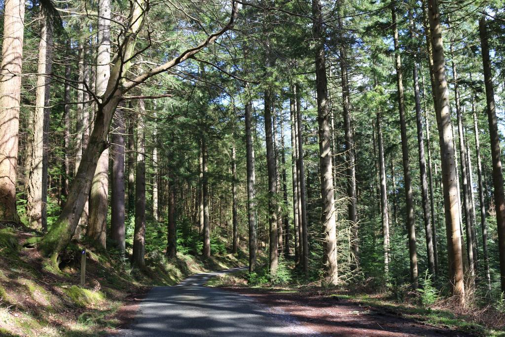 Bod Gwynedd Bed And Breakfast ベトウス・ア・コーエド エクステリア 写真