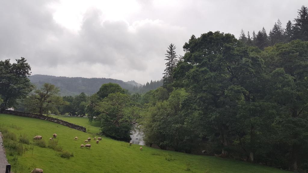 Bod Gwynedd Bed And Breakfast ベトウス・ア・コーエド エクステリア 写真