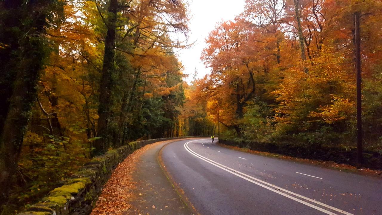 Bod Gwynedd Bed And Breakfast ベトウス・ア・コーエド エクステリア 写真